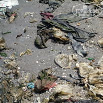 фото из отзыва ID 920416