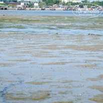 фото из отзыва ID 920416