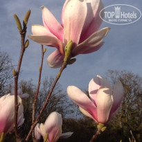 фото из отзыва ID 920623