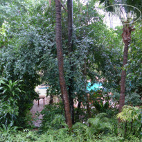 фото из отзыва ID 920744