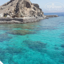 фото из отзыва ID 920839