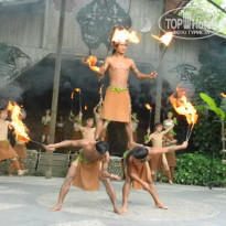 фото из отзыва ID 920940