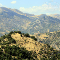 фото из отзыва ID 920600