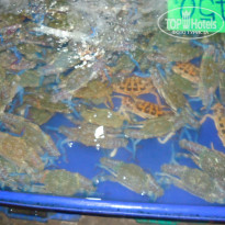 фото из отзыва ID 920323