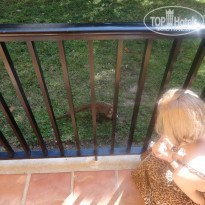 фото из отзыва ID 921078