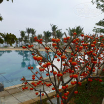 фото из отзыва ID 921129