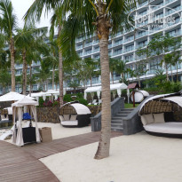 фото из отзыва ID 921129