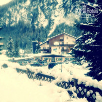 фото из отзыва ID 921367