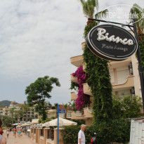 фото из отзыва ID 921448