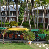 фото из отзыва ID 921528