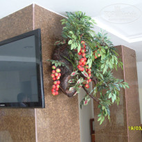 фото из отзыва ID 921540