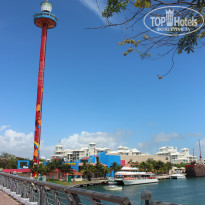 фото из отзыва ID 921554