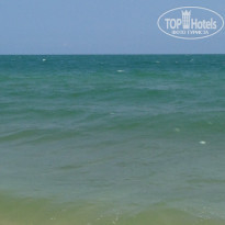 фото из отзыва ID 921564