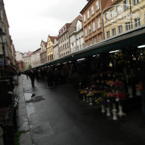 фото из отзыва ID 921591