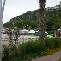 фото из отзыва ID 921634