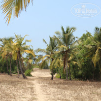 фото из отзыва ID 921788