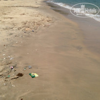 фото из отзыва ID 921896