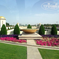 фото из отзыва ID 921906