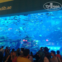 фото из отзыва ID 921906