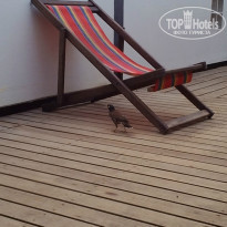 фото из отзыва ID 921919