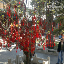 фото из отзыва ID 921947