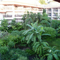 фото из отзыва ID 921837