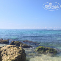 фото из отзыва ID 922043