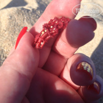 фото из отзыва ID 922043