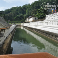 фото из отзыва ID 922051