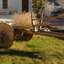 фото из отзыва ID 922086