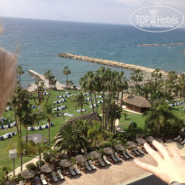 фото из отзыва ID 922104