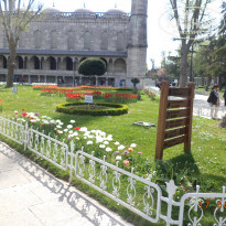 фото из отзыва ID 922244