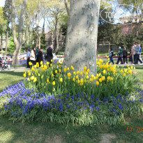 фото из отзыва ID 922244