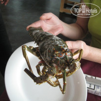 фото из отзыва ID 922392