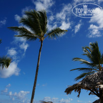 фото из отзыва ID 922549