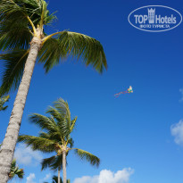 фото из отзыва ID 922549