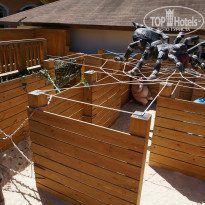 фото из отзыва ID 922549