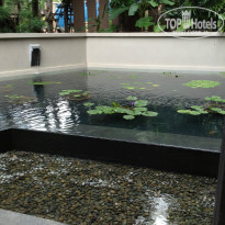 фото из отзыва ID 922754