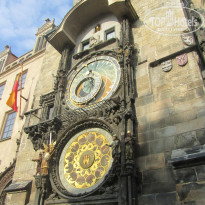 фото из отзыва ID 922804