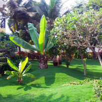 фото из отзыва ID 922828