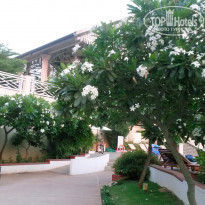 фото из отзыва ID 922828