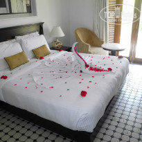 фото из отзыва ID 922828