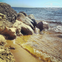 фото из отзыва ID 922246