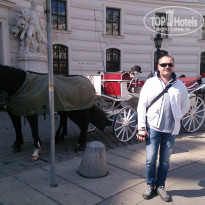 фото из отзыва ID 922842