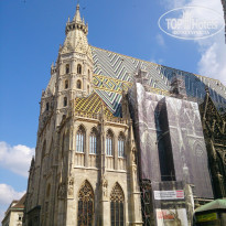 фото из отзыва ID 922842