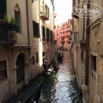 фото из отзыва ID 923065