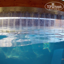 фото из отзыва ID 923082