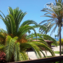 фото из отзыва ID 923248