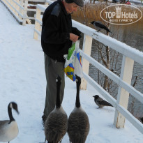 фото из отзыва ID 923368