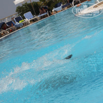 фото из отзыва ID 923422